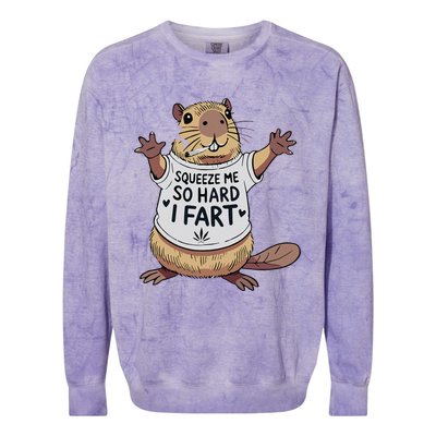 Funny Joke Squeeze Me So Hard I Fart Colorblast Crewneck Sweatshirt