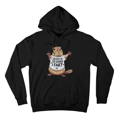 Funny Joke Squeeze Me So Hard I Fart Hoodie