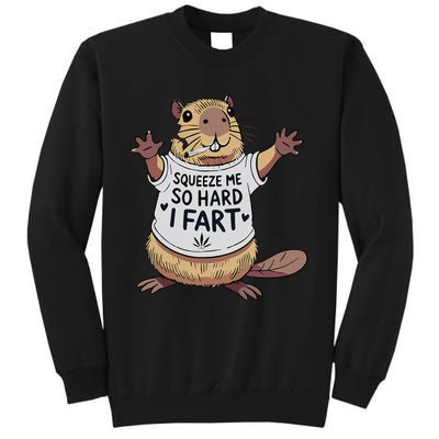 Funny Joke Squeeze Me So Hard I Fart Sweatshirt