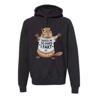 Funny Joke Squeeze Me So Hard I Fart Premium Hoodie