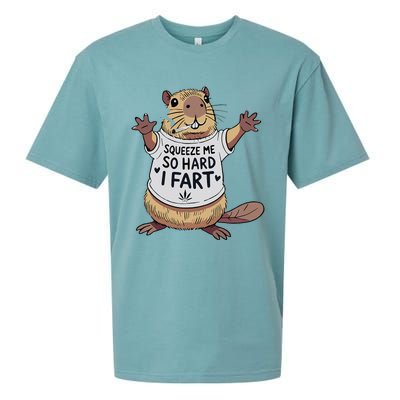 Funny Joke Squeeze Me So Hard I Fart Sueded Cloud Jersey T-Shirt