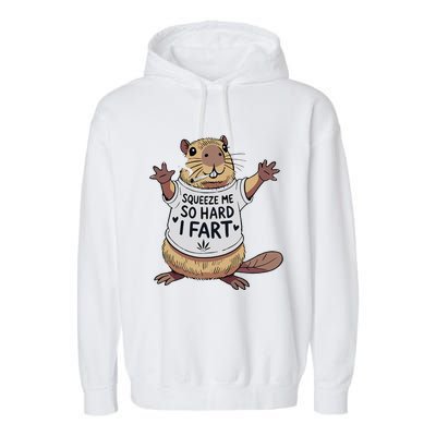 Funny Joke Squeeze Me So Hard I Fart Garment-Dyed Fleece Hoodie