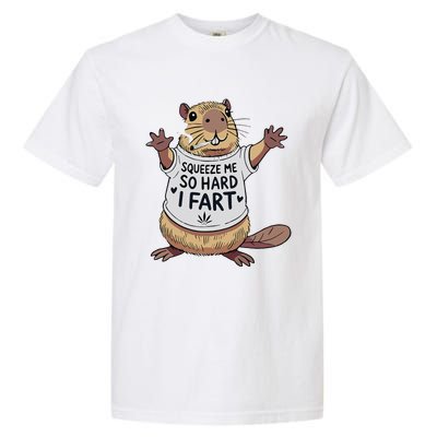 Funny Joke Squeeze Me So Hard I Fart Garment-Dyed Heavyweight T-Shirt