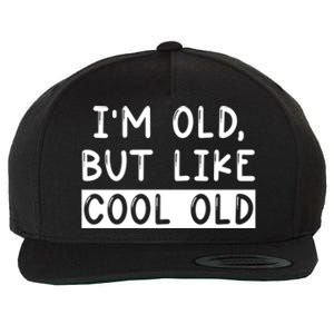 Funny Jokes Sarcastic IM Old But Like Cool Old Cute Gift Wool Snapback Cap