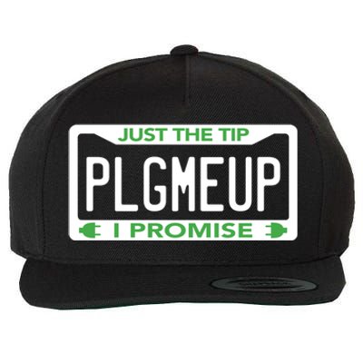 Funny Just The Tip Car Green Energy Earth Day Save Planet Gift Wool Snapback Cap