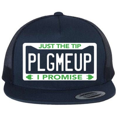 Funny Just The Tip Car Green Energy Earth Day Save Planet Gift Flat Bill Trucker Hat