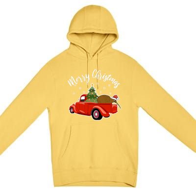 Funny Kiwi Bird Lover Xmas Santa Hat Red PickUp Truck Funny Gift Premium Pullover Hoodie