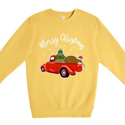 Funny Kiwi Bird Lover Xmas Santa Hat Red PickUp Truck Funny Gift Premium Crewneck Sweatshirt