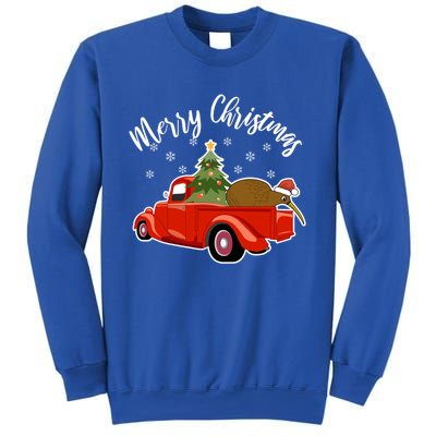 Funny Kiwi Bird Lover Xmas Santa Hat Red PickUp Truck Funny Gift Sweatshirt