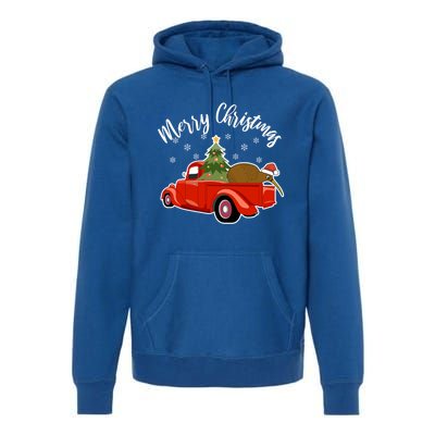 Funny Kiwi Bird Lover Xmas Santa Hat Red PickUp Truck Funny Gift Premium Hoodie