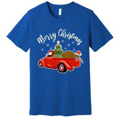 Funny Kiwi Bird Lover Xmas Santa Hat Red PickUp Truck Funny Gift Premium T-Shirt