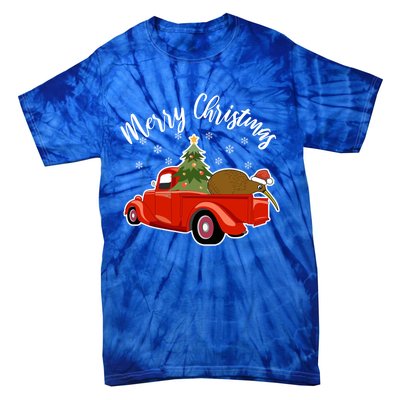 Funny Kiwi Bird Lover Xmas Santa Hat Red PickUp Truck Funny Gift Tie-Dye T-Shirt