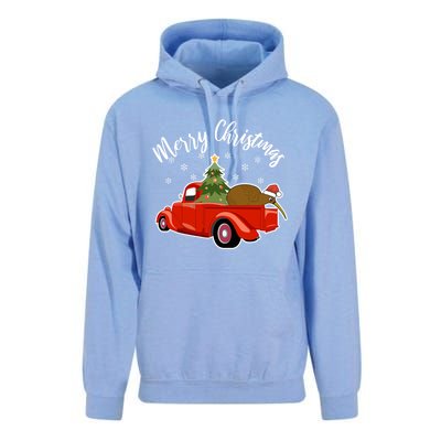 Funny Kiwi Bird Lover Xmas Santa Hat Red PickUp Truck Funny Gift Unisex Surf Hoodie