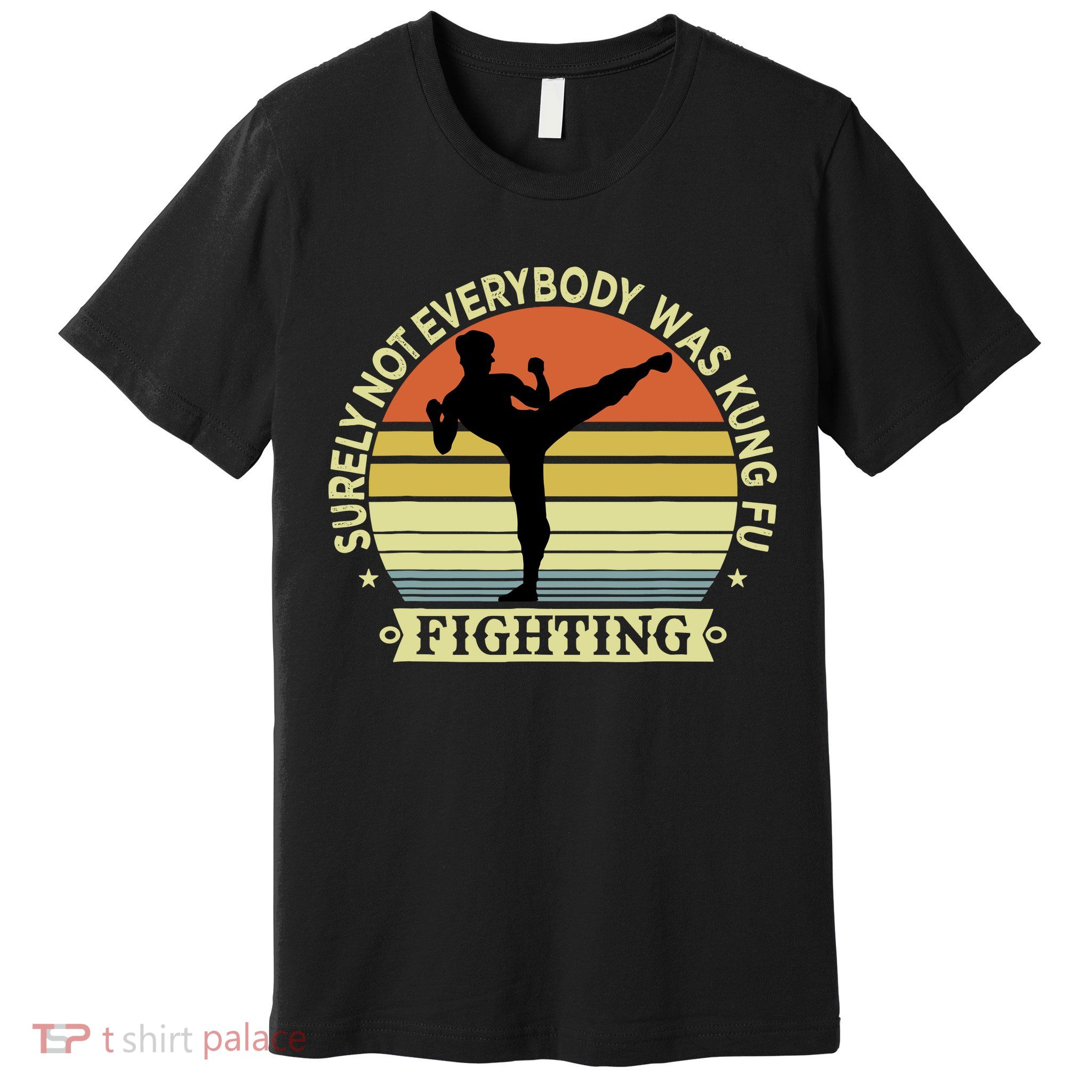 Funny Karate Surely Not Everybody Was Kung Fu Fighting Premium T-Shirt