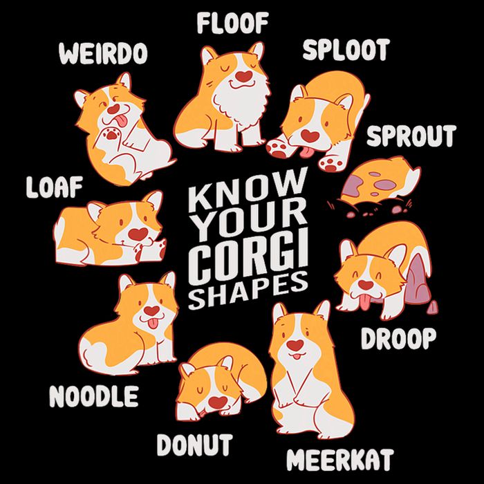 Funny Know Your Corgi Shapes Cute Welsh Dog Lover Cropped Pullover Crew