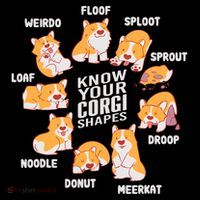 Funny Know Your Corgi Shapes Cute Welsh Dog Lover Womens T-Shirt
