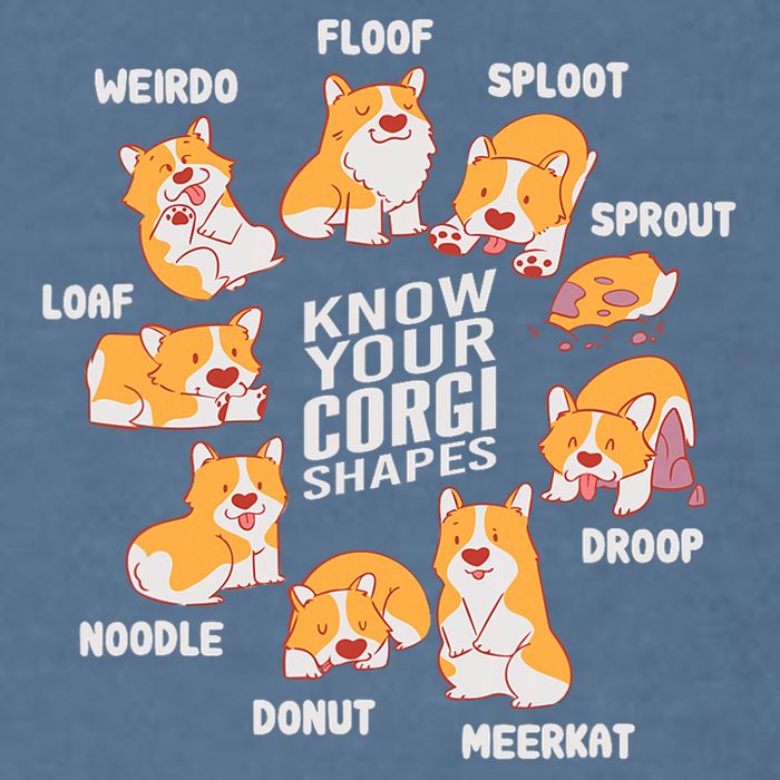 Funny Know Your Corgi Shapes Cute Welsh Dog Lover Garment-Dyed Sweatshirt