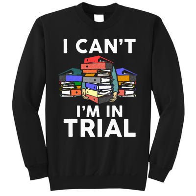 Funny Lawyer Art For Wo Attorney Paralegal Law School Sweatshirt