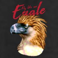 Fly Like An Eagle Adult Drive Performance Visor