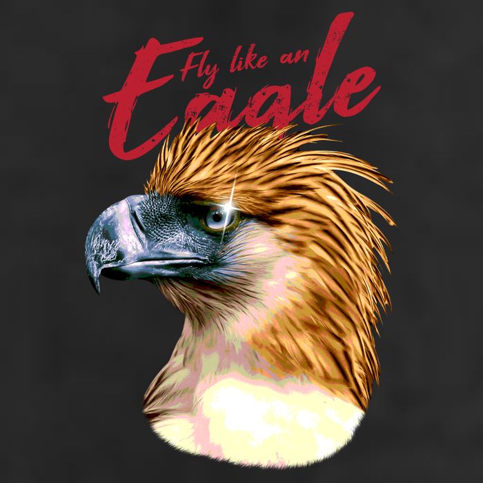 Fly Like An Eagle Adult Drive Performance Visor