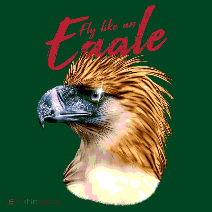 Fly Like An Eagle Cooling Performance Long Sleeve Crew