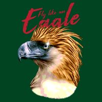 Fly Like An Eagle Poster