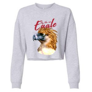 Fly Like An Eagle Cropped Pullover Crew