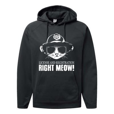 Funny License And Registration Right Meow Cat Cop Performance Fleece Hoodie