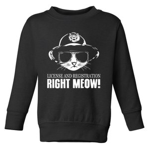 Funny License And Registration Right Meow Cat Cop Toddler Sweatshirt