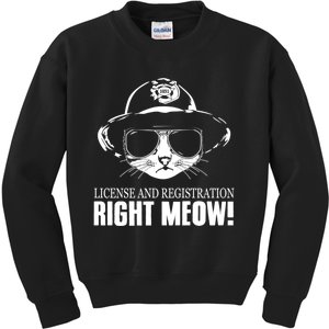 Funny License And Registration Right Meow Cat Cop Kids Sweatshirt