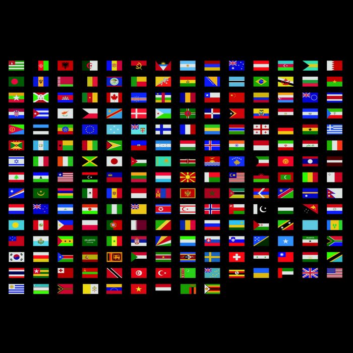 Flags of the World Daily Commute Backpack