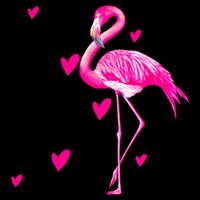 Flamingo Stand Tall And Be Fabulous Mug