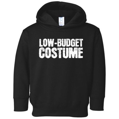 Funny Low Budget Costume halloween  Toddler Hoodie