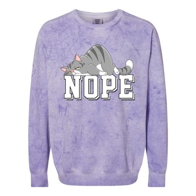 Funny Lazy Cat Nope Not Today Cat Cool Gift Colorblast Crewneck Sweatshirt