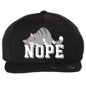 Funny Lazy Cat Nope Not Today Cat Cool Gift Wool Snapback Cap