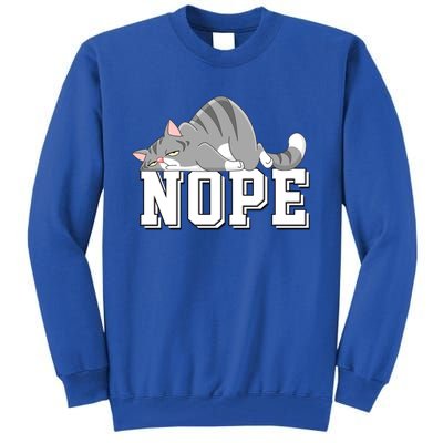 Funny Lazy Cat Nope Not Today Cat Cool Gift Tall Sweatshirt