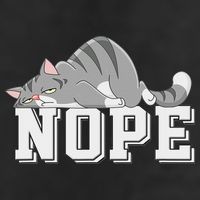 Funny Lazy Cat Nope Not Today Cat Knit Cap Winter Beanie