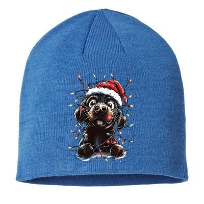 Funny Labrador Christmas Dog Lab Mom Dog Santa Cute Puppy Meaningful Gift Sustainable Beanie