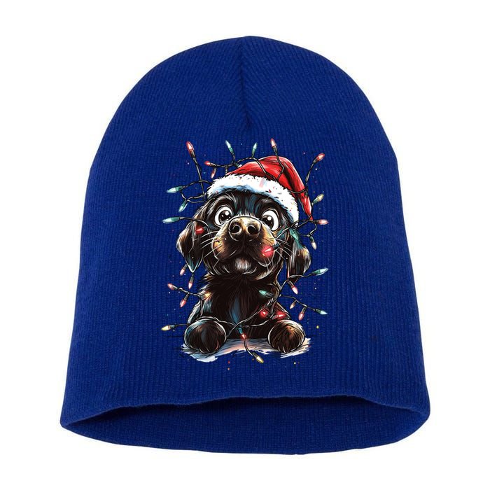 Funny Labrador Christmas Dog Lab Mom Dog Santa Cute Puppy Meaningful Gift Short Acrylic Beanie