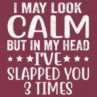 Funny Look Calm But In My Head Ive Slapped You 3 Times 16oz Travel Tumbler