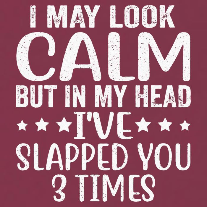 Funny Look Calm But In My Head Ive Slapped You 3 Times 16oz Travel Tumbler