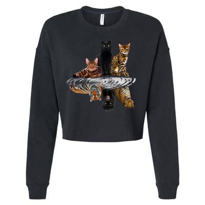 Funny Little Cats Big Cats Cropped Pullover Crew