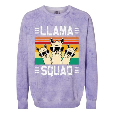 Funny Llama Cute Llama Alpaca Colorblast Crewneck Sweatshirt