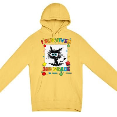 Funny Last Day Of Third 3rd Grade I Survived Third 3rd Grade Premium Pullover Hoodie