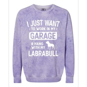 Funny Labrabull Dad Garage Hang With Great Gift Colorblast Crewneck Sweatshirt