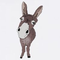 Funny Looking Donkey Gift Idea For Cute Donkeys Horses Flat Bill Trucker Hat
