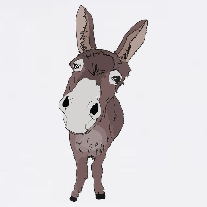Funny Looking Donkey Gift Idea For Cute Donkeys Horses Flat Bill Trucker Hat