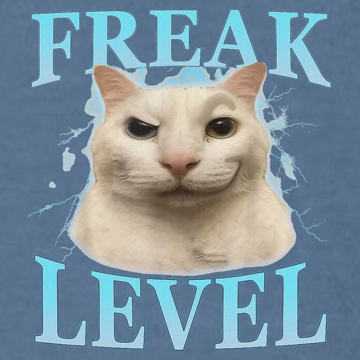 Freak Level Funny Cat Meme Certified Freak Humor Sarcastic Garment-Dyed Sweatshirt