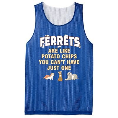 Ferret Lover Funny Gift Just One Ferrets Mom Great Gift Mesh Reversible Basketball Jersey Tank