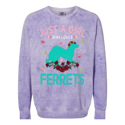 Ferret Lover Gift Just A Girl Who Loves Ferrets Cute Gift Colorblast Crewneck Sweatshirt